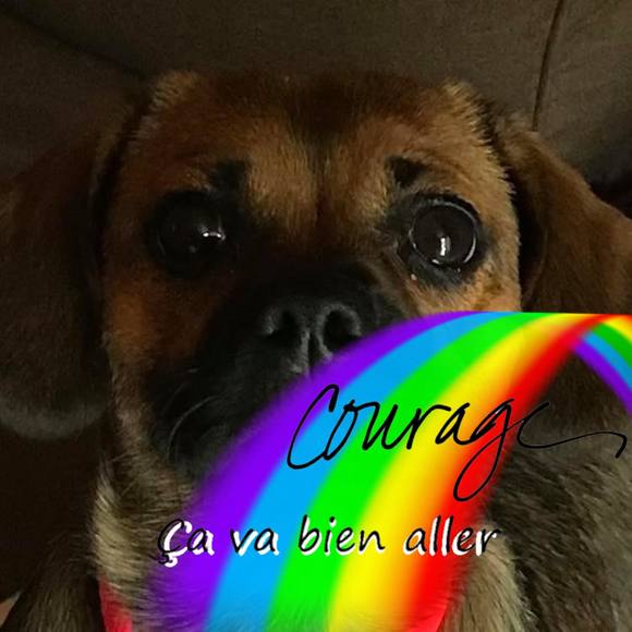 Meet your Posher, Mj - Picture 1 of 1